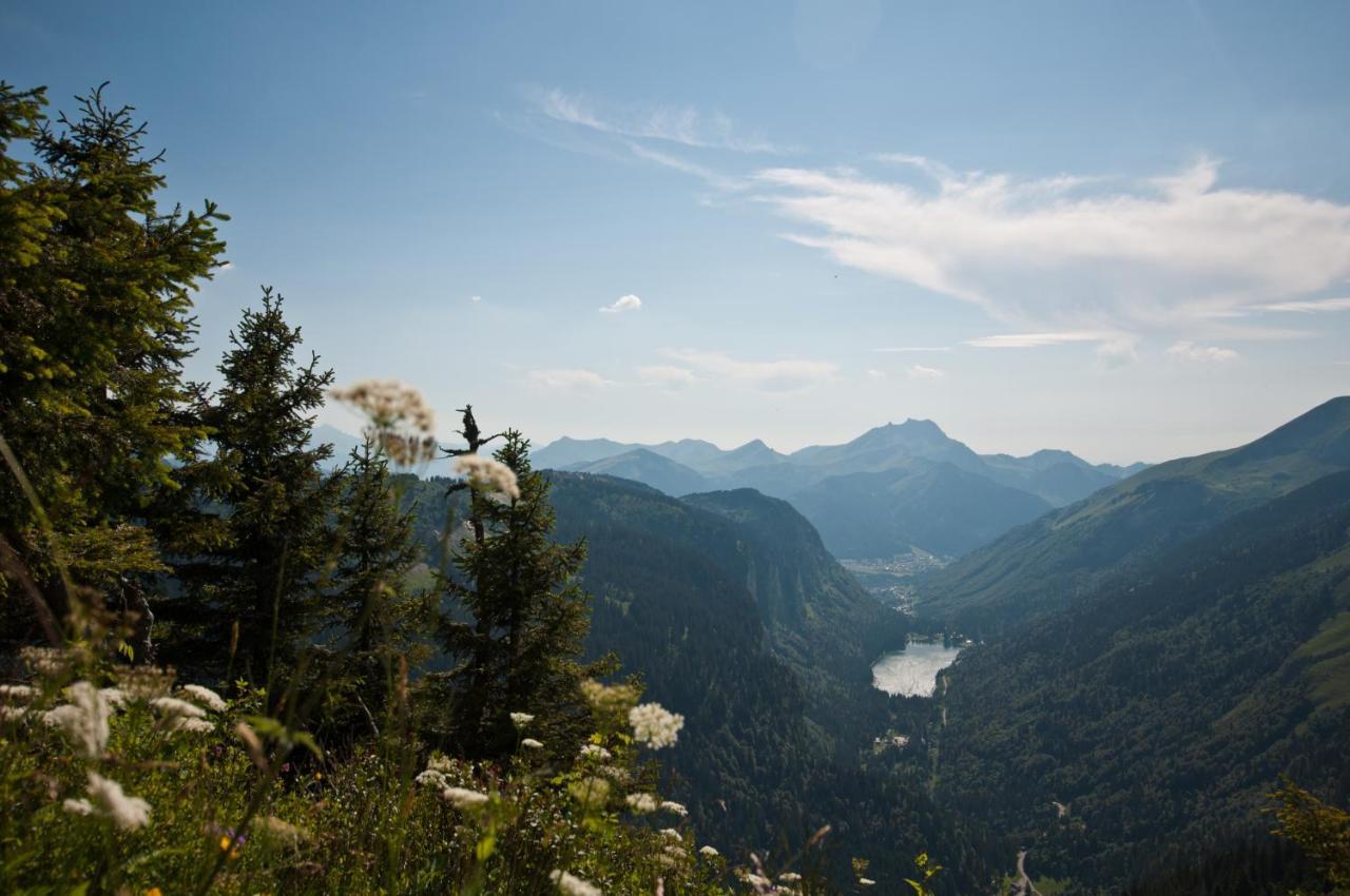 Chalet Sur Les Monts Morzine Montriond Esterno foto